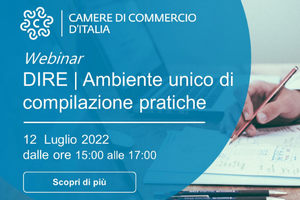 webinar formazione DIRE